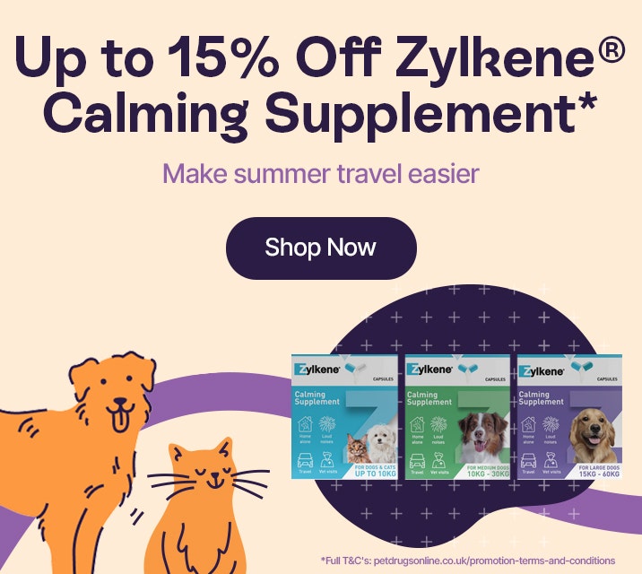 Up to 15% Off Zylkene Calming Supplement*